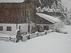 IMG_4733.JPG
