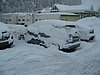 IMG_4737.JPG