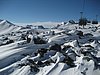 IMG_4799.JPG