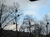 IMG_4847.JPG