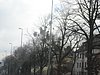 IMG_4849.JPG
