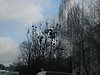 IMG_4850.JPG
