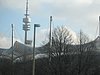 IMG_4859.JPG