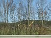 IMG_4881.JPG
