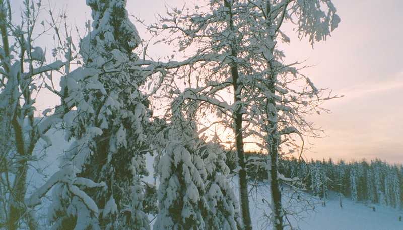 124b_203-1_M010.jpg