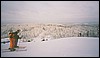 124b_203-1_M004.jpg