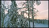 124b_203-1_M010.jpg