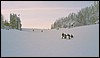 124b_203-1_M011.jpg