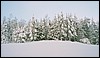 124b_203-1_M012.jpg
