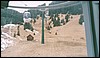 124b_203-1_M015.jpg