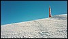 124c_202-1_M013.jpg