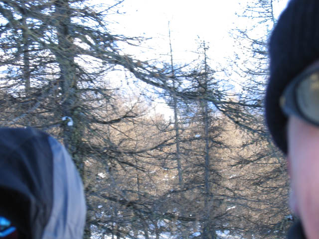 sauze-111.jpg