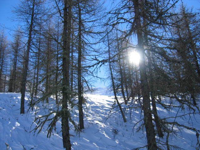 sauze-113.jpg