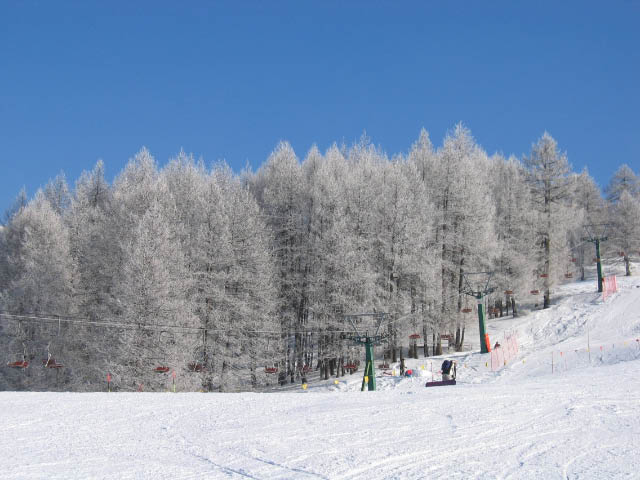 sauze-162.jpg