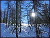 sauze-113.jpg