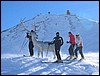 sauze-120.jpg