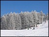 sauze-162.jpg