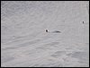 solden-104.JPG