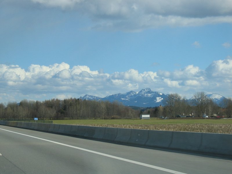 IMG_4396.jpg