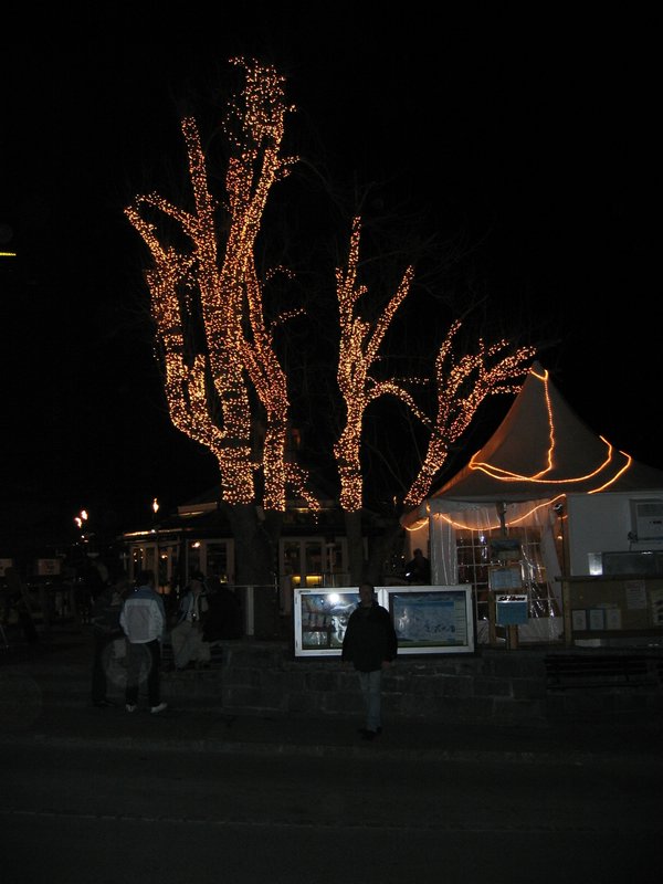 IMG_4420.jpg