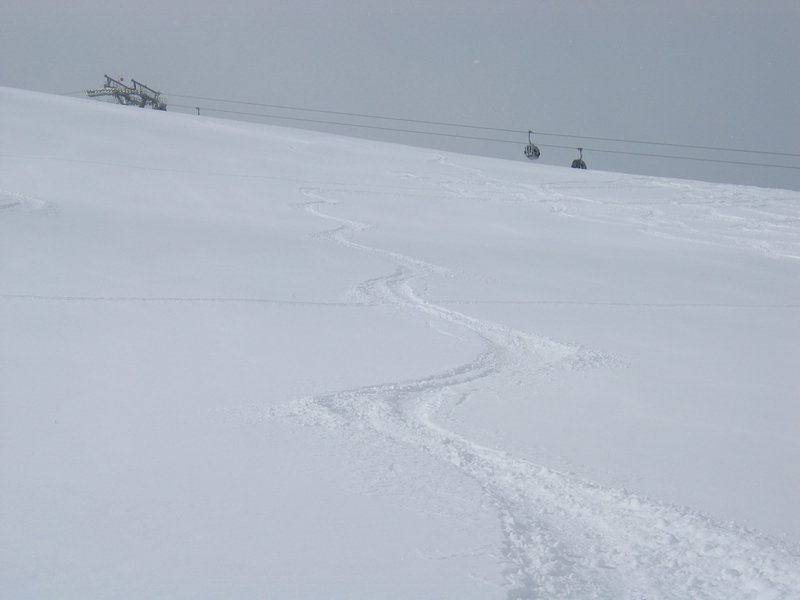 IMG_4495.jpg