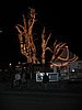 IMG_4420.jpg