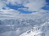 IMG_4423.jpg
