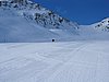 IMG_4437.jpg