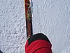 IMG_4441.jpg