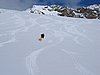 IMG_4446.jpg