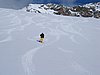 IMG_4447.jpg