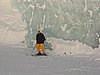 IMG_4469.jpg