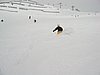 IMG_4488.jpg