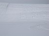 IMG_4496.jpg