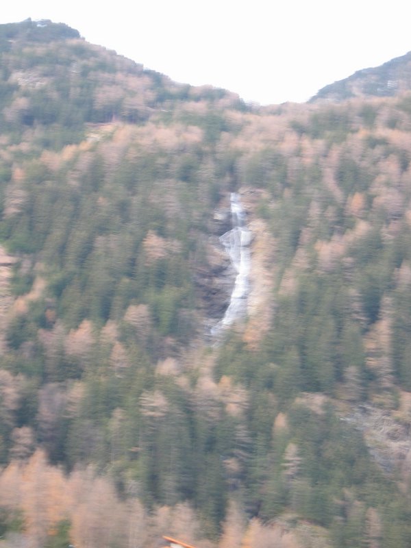 IMG_4860-1.jpg