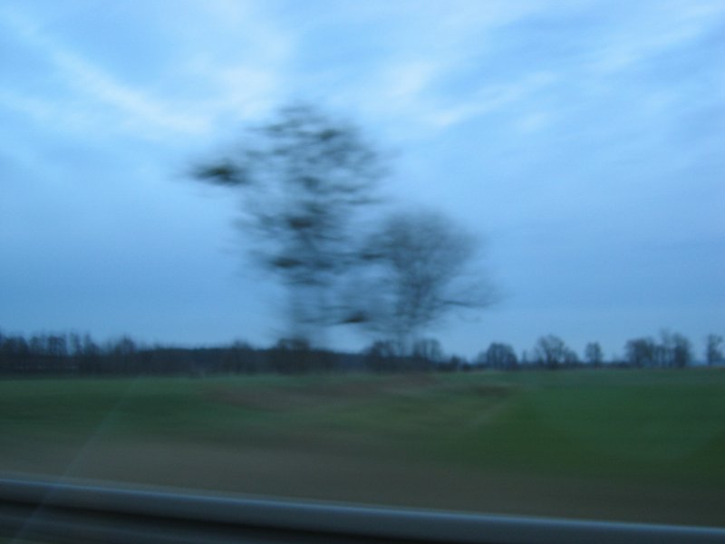 IMG_4898.jpg