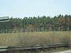 IMG_4879-1.jpg