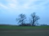 IMG_4899.jpg