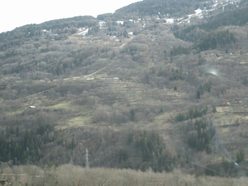 IMG_5418.JPG