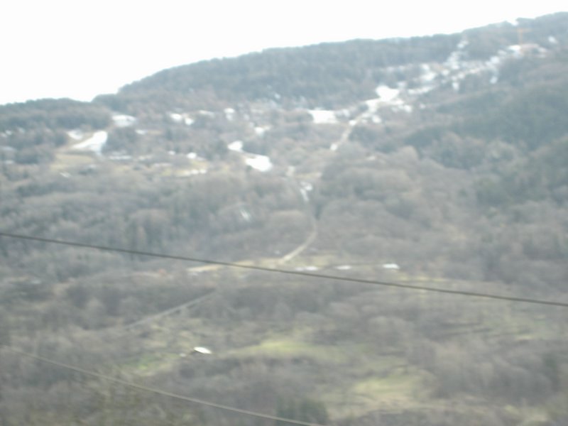 IMG_5420.JPG