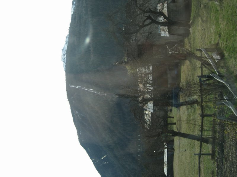 IMG_5424.JPG