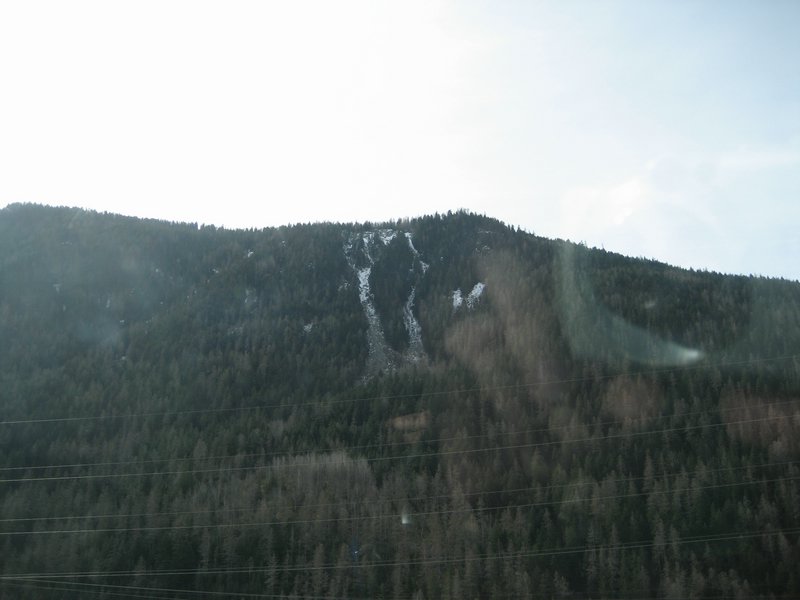 IMG_5426.JPG