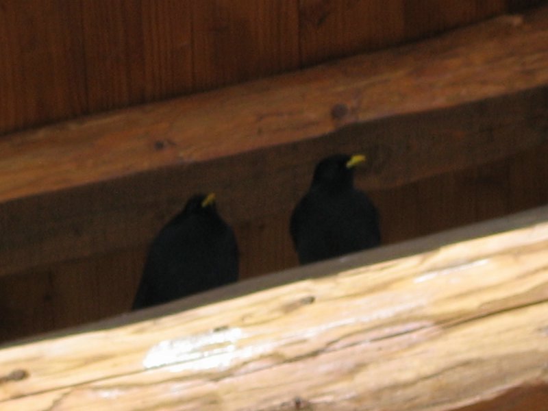IMG_5593.JPG
