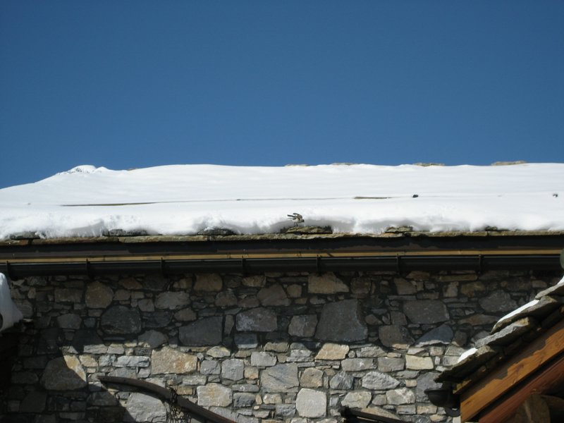IMG_5595.JPG
