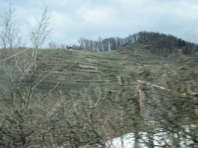IMG_5667.JPG