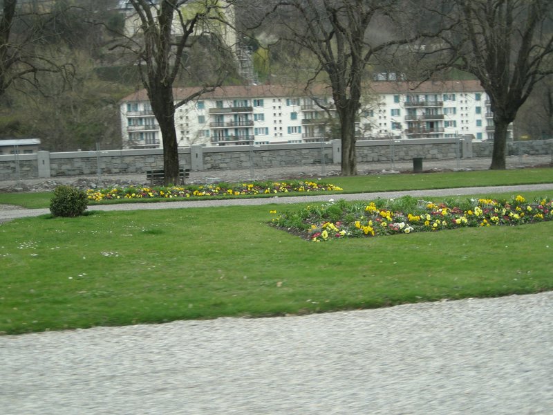 IMG_5676.JPG