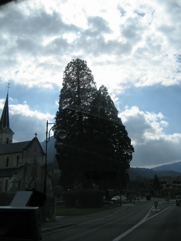 IMG_5716.JPG