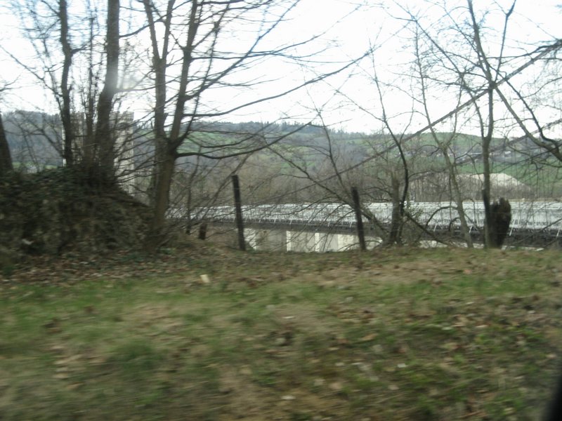 IMG_5731.JPG