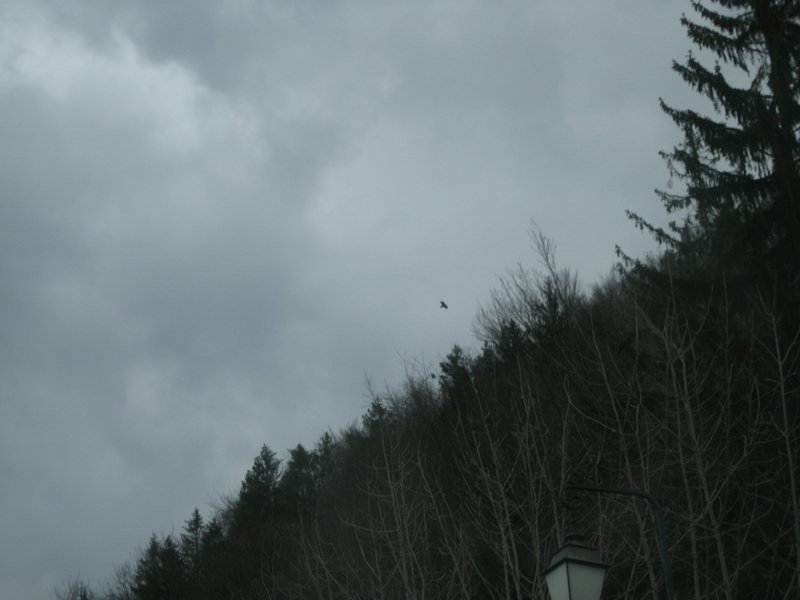 IMG_5734.JPG