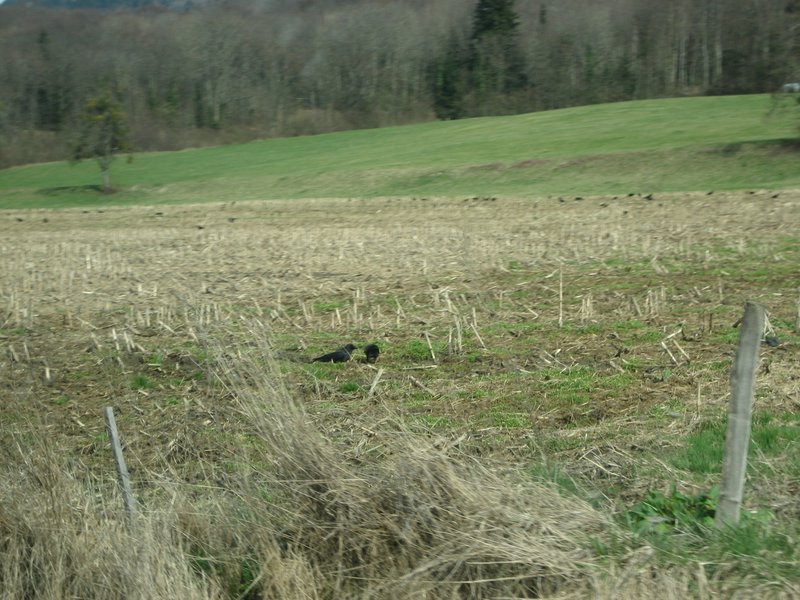 IMG_5745.JPG